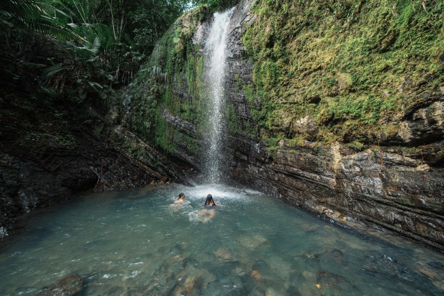 A waterfall surrounded by lush tropical forest in El Yunque.